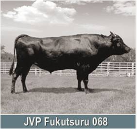 jvp fukutsuru 068
